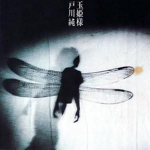 双飞东北老阿姨
