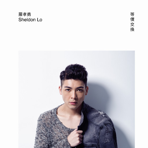 双飞东北老阿姨
